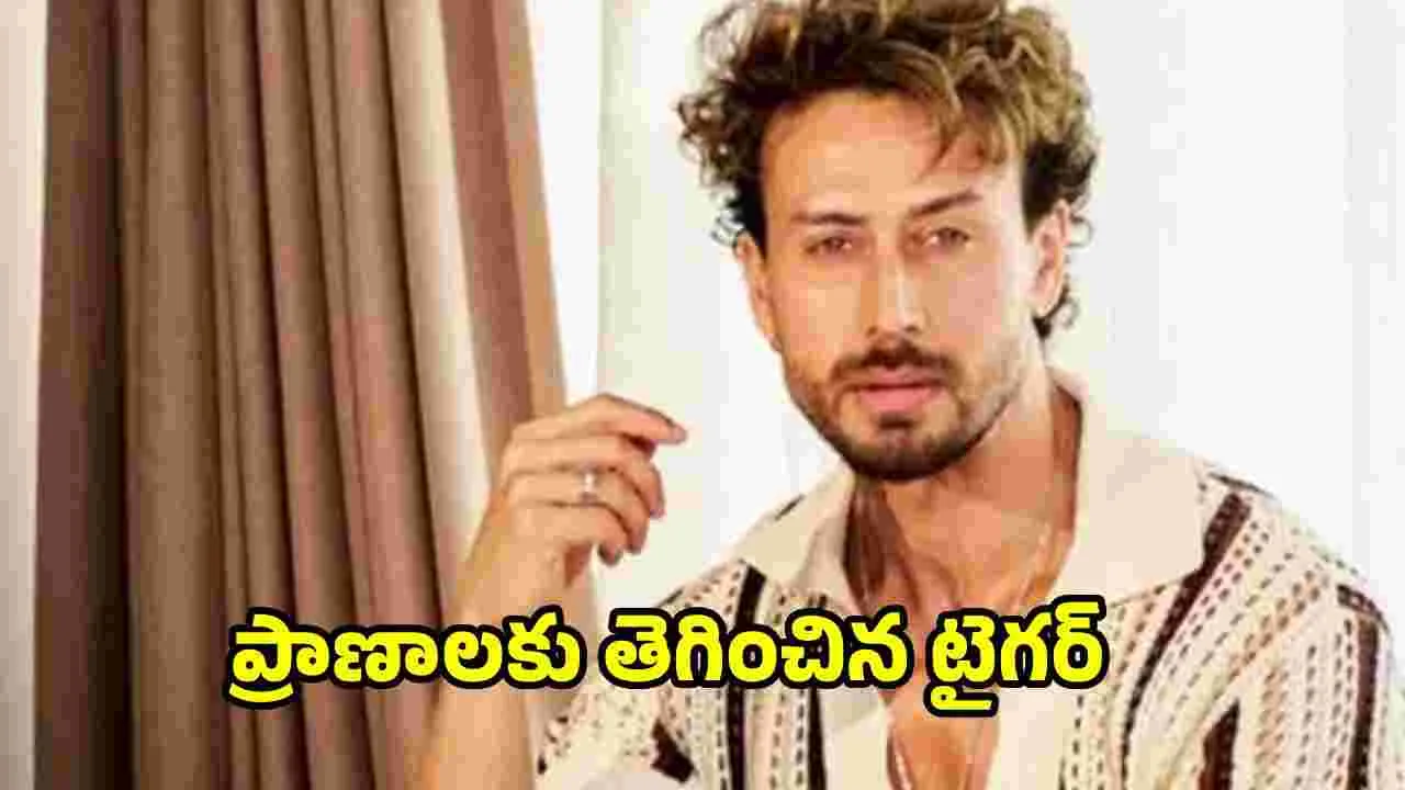Tiger: రీల్‌లోనే కాదు.. రియల్ లైఫ్‌లోనూ హీరోనే! 