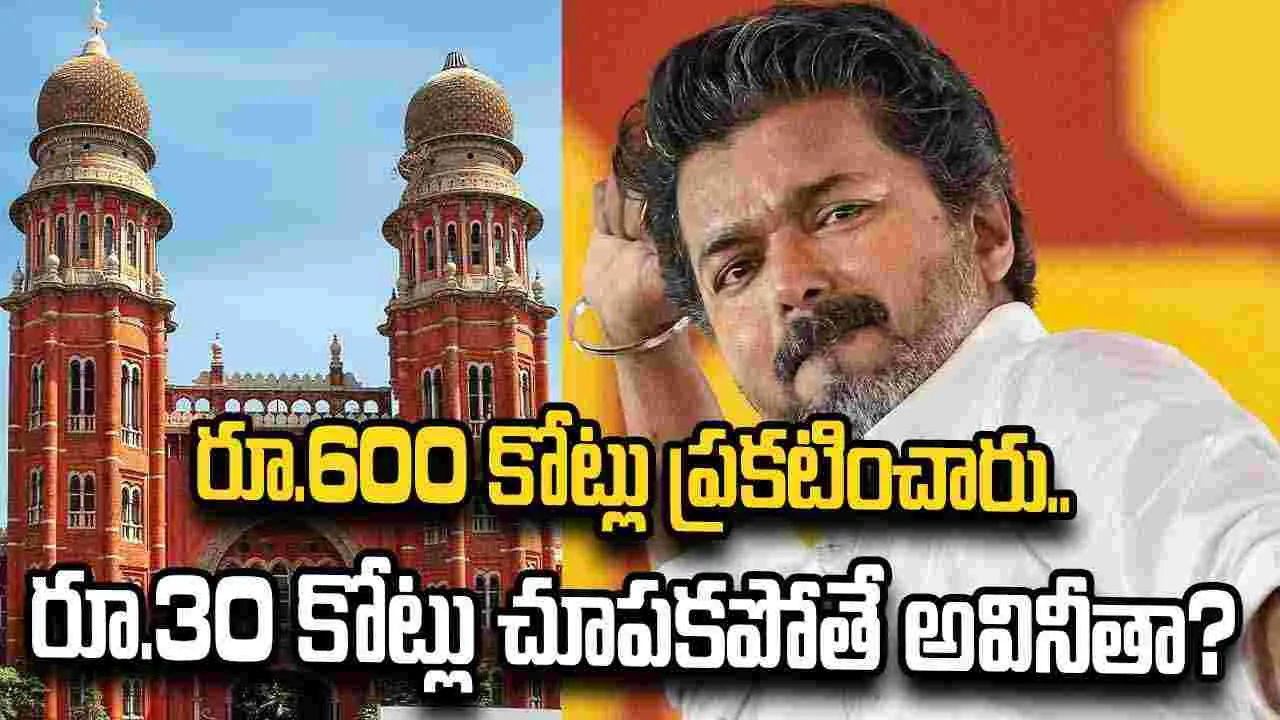 TVK Vijay Assets: అకౌంటెంట్ పొర‌పాటుకు.. విజ‌య్‌ ఎన్నిక ర‌ద్దు చేయాలా?