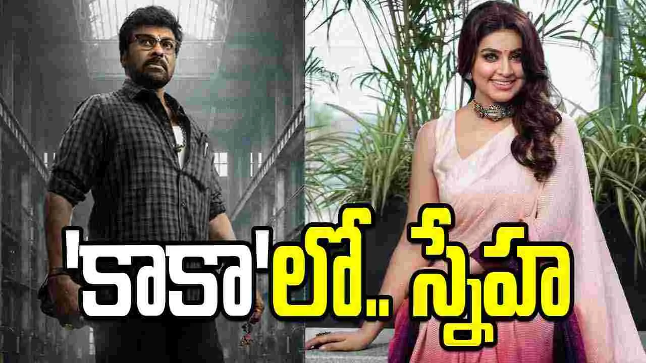 కాకా.. భార్య దొరికేసింది? స్నేహాకు.. బంప‌ర్ ఛాన్స్