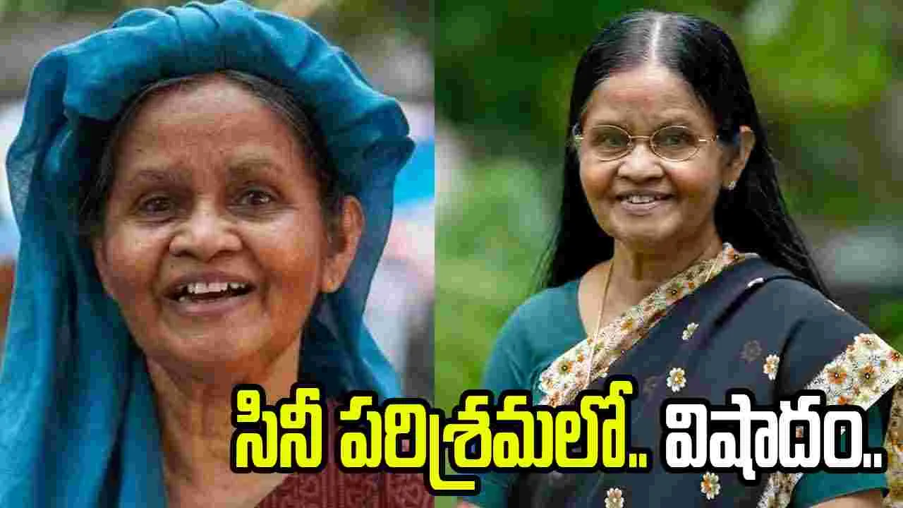 'సుదాని ఫ్రమ్ నైజీరియా' నటి.. సావిత్రి శ్రీధరన్ కన్నుమూత