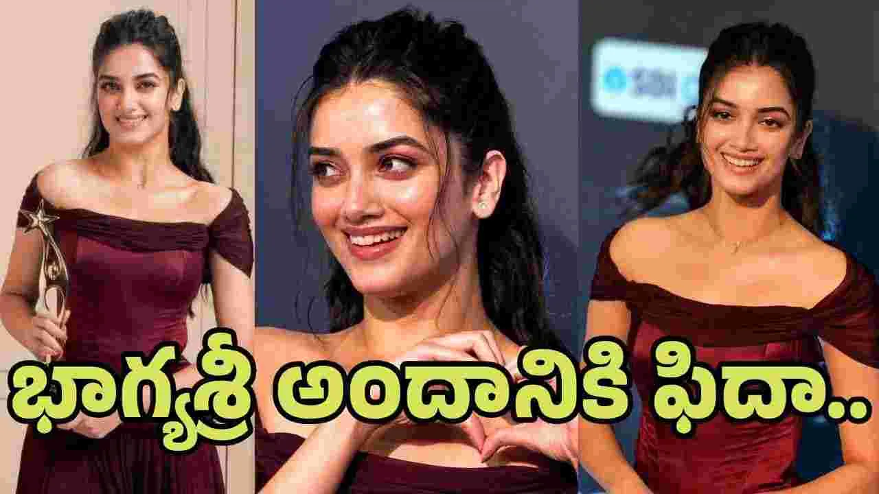 అబ్బా.. భాగ్యశ్రీ అందం.. రామ్  అన్నా ఎక్కడో మచ్చేసుకోని పుట్టాడురా