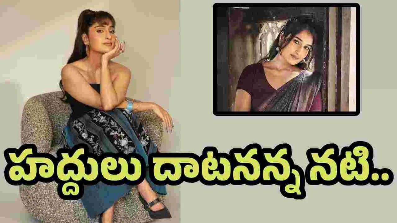 ఇంటిమేటెడ్ సీన్స్ కోసం బలవంతం.. నిహారిక చేసిన పనికి షాక్