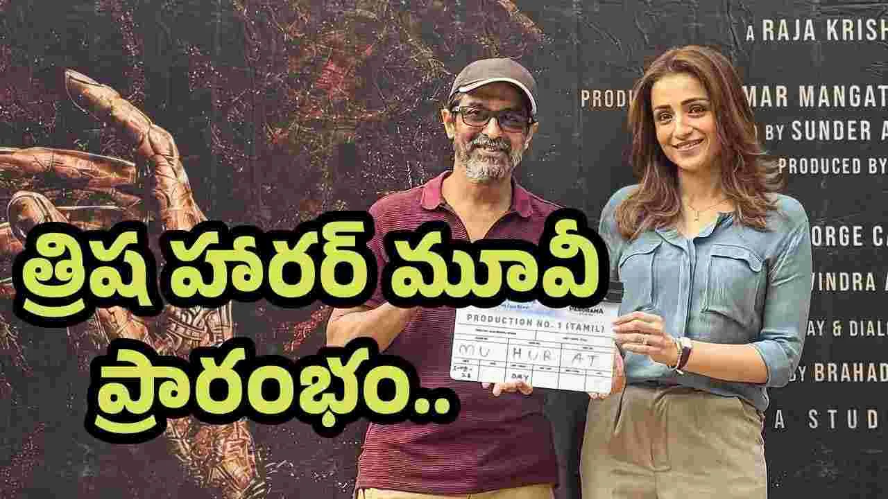 సినిమాలకు త్రిష గుడ్ బై.. ఆమె చివరి చిత్రం ఇదే 